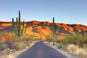 Saguaro National Park Itinerary